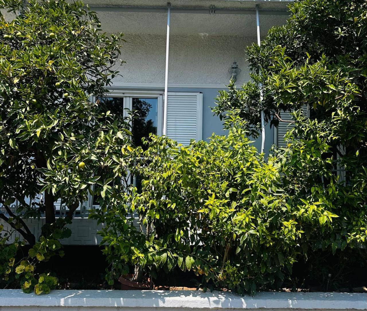 Sotiris Mandarin House Διαμέρισμα Διακοφτό Εξωτερικό φωτογραφία